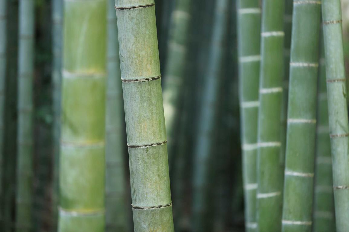Eum voluptas porro autem voluptas et qui ipsum et dolores